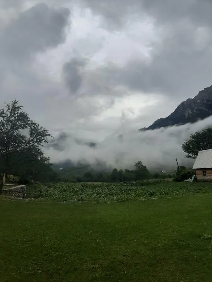 Bujtina Terthorja Hotel Theth Guest house