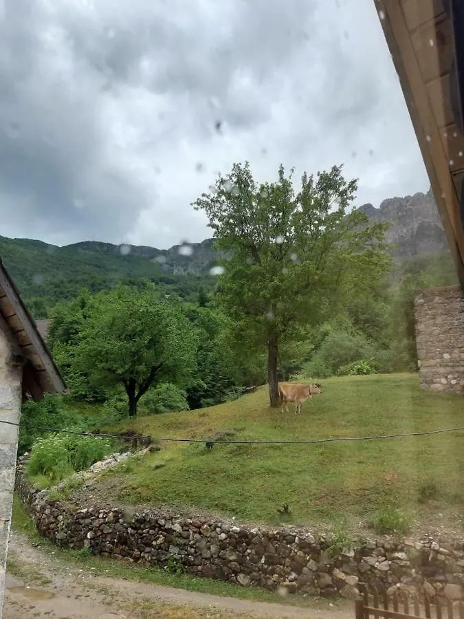 Bujtina Terthorja Hotel Theth 0*,  Albania